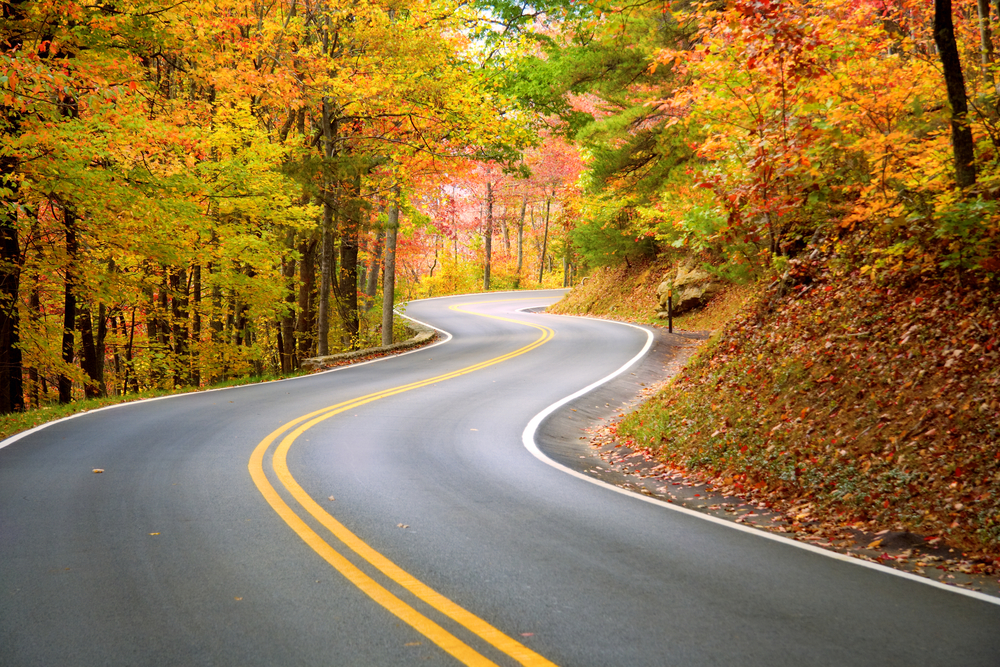 Winding road through fall forest in Appalachian Mountains