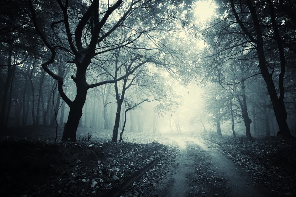 haunted_road