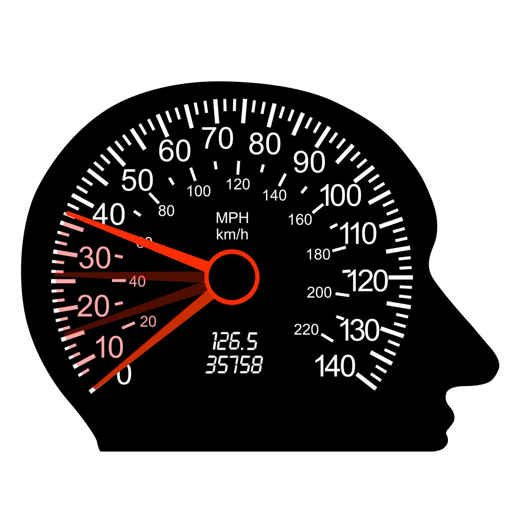 car speedometer in the human brain