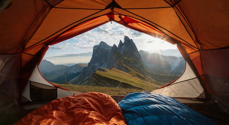A view looking out of a camping tent.