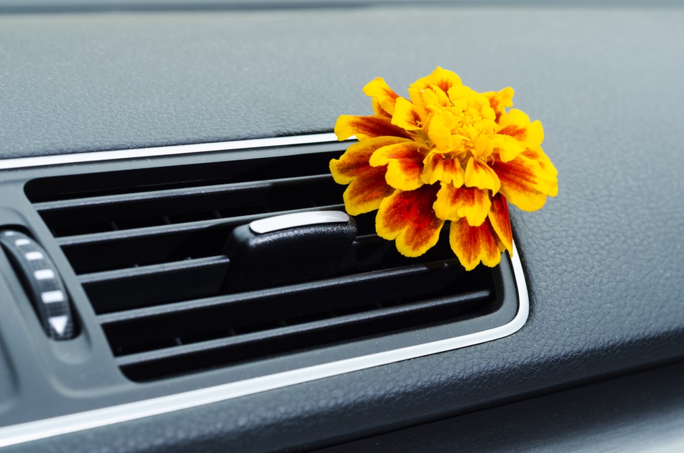 ambientador de coche