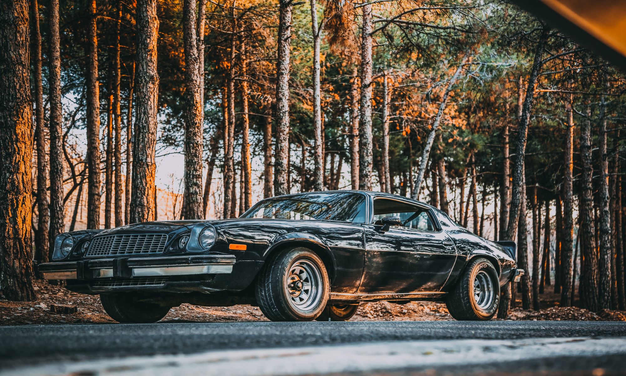 black coupe near a tree