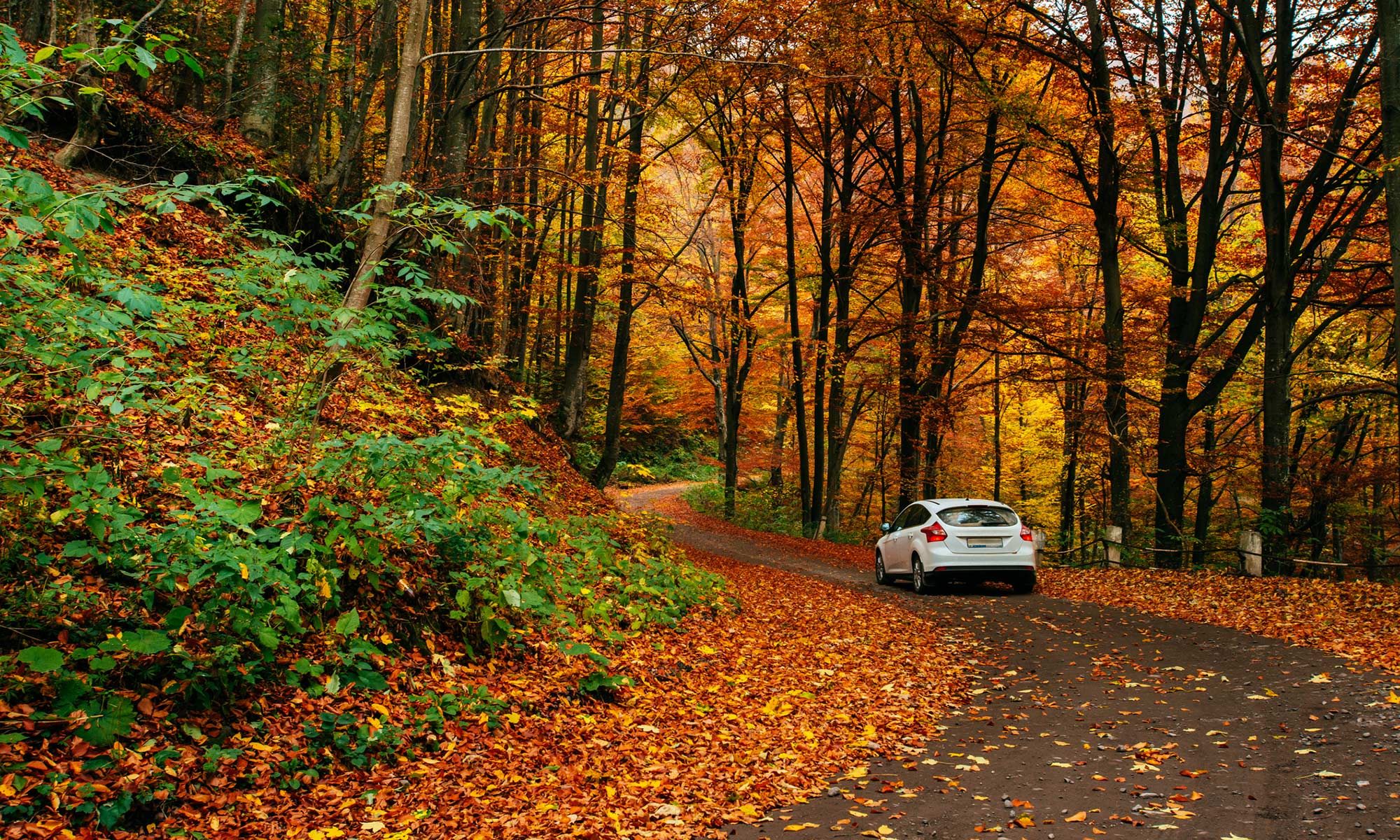 A car driving in the fall.