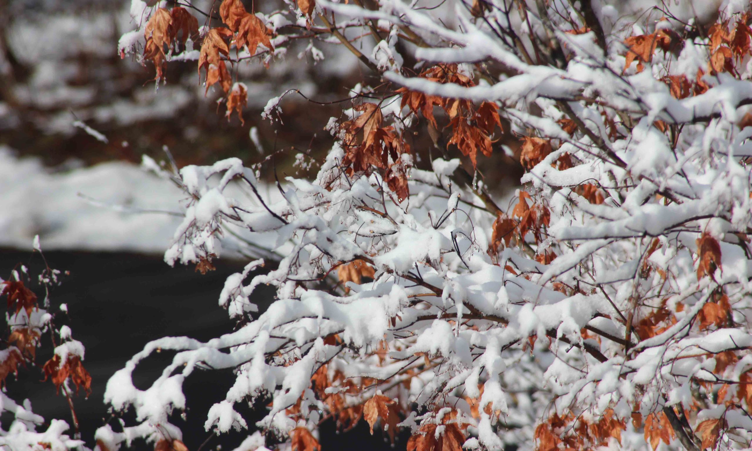 Why should I get an oil change before winter