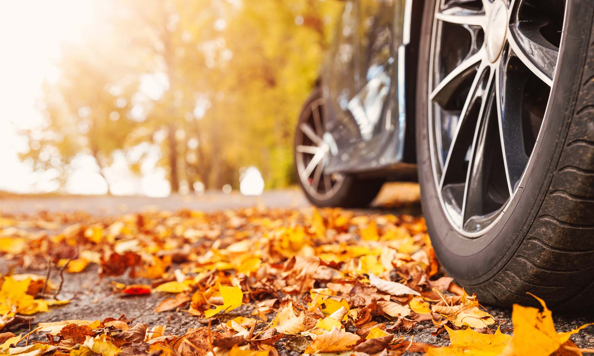 A close up image of a car's tires on a road covered with leaves.