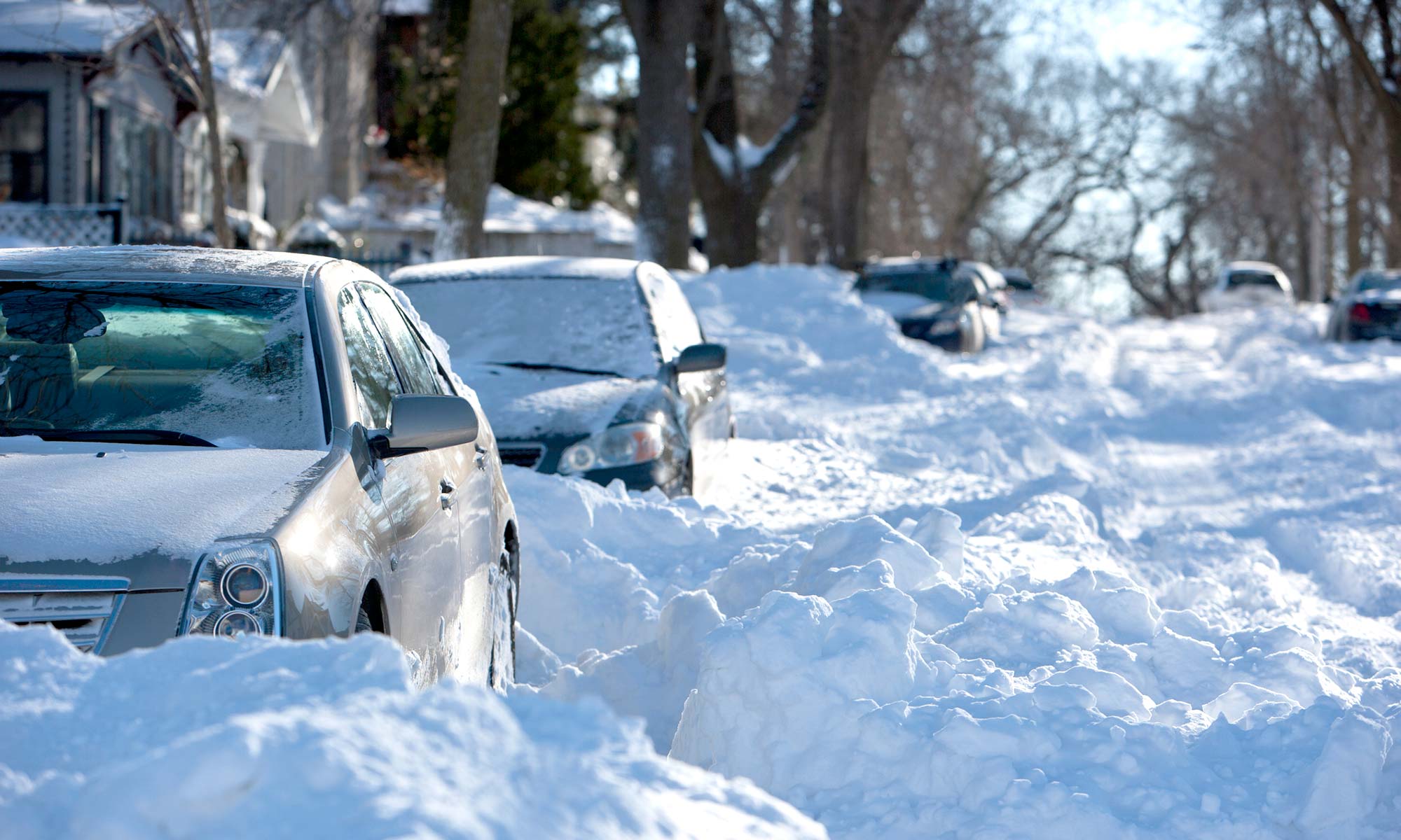 Cars buried in the snow after a winter storm.