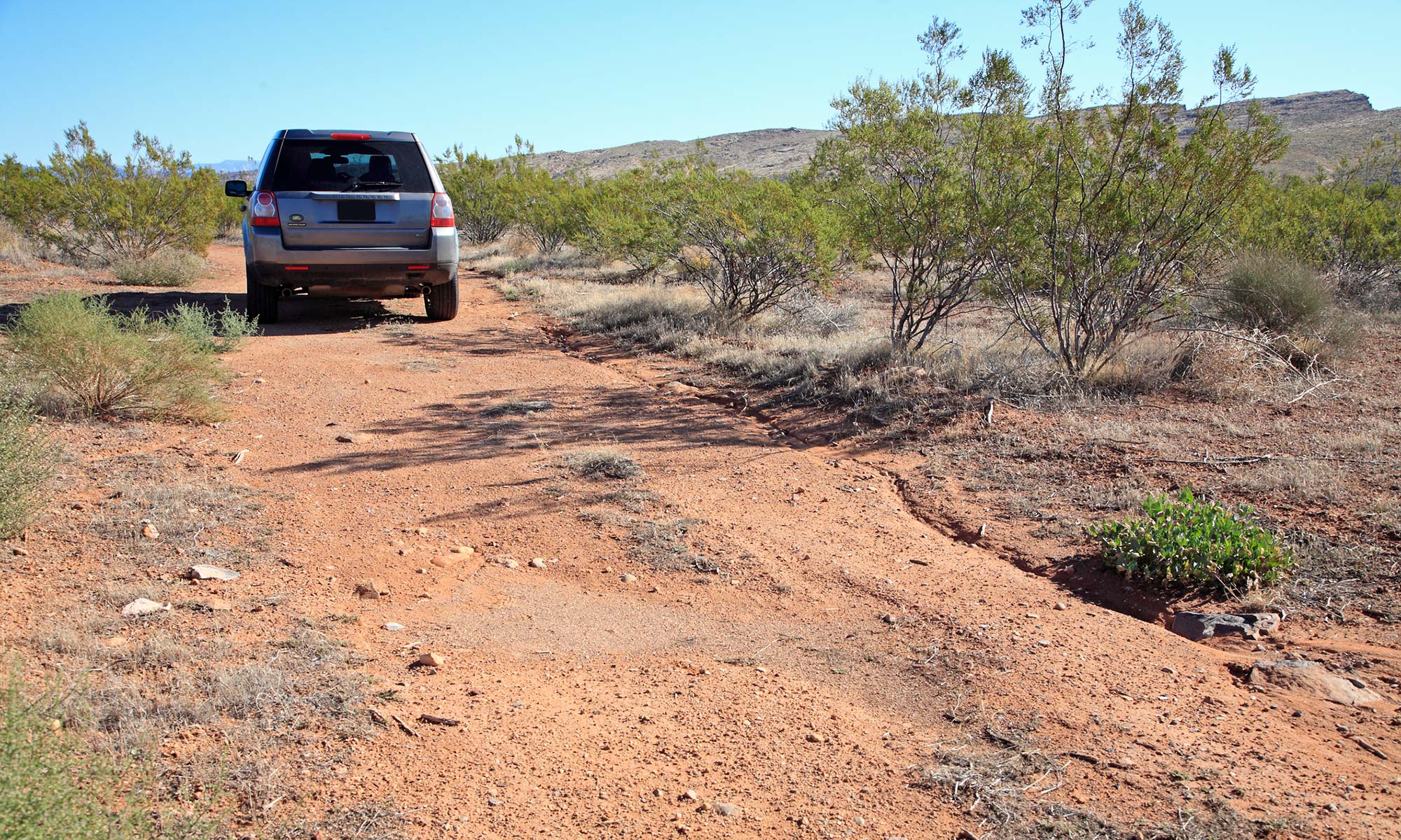 A Land Rover LR2 driving down a desert road.