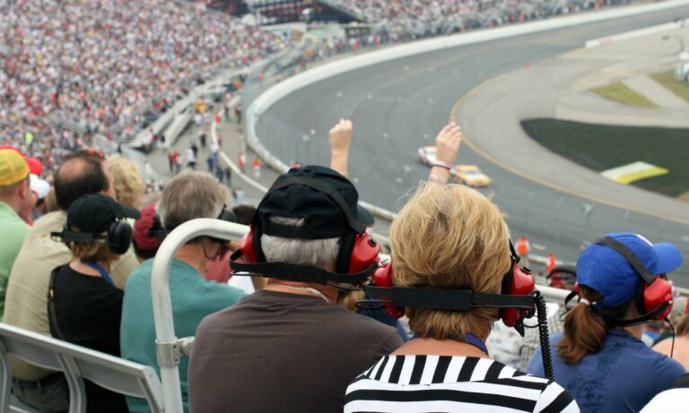 NASCAR fans taking in a race in the grandstands of a racetrack.