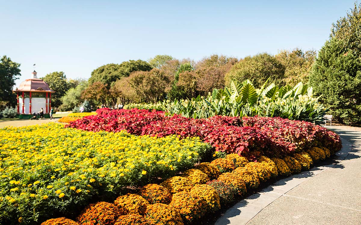 A garden full of yellow, orange and red flowers at the Dallas Arboretum and Botanical Garden in Dallas, Texas.