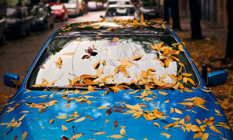 Fall leaves cover a car parked on the street.