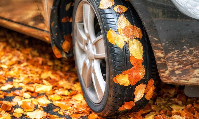 A car tire covered in leaves during the fall.