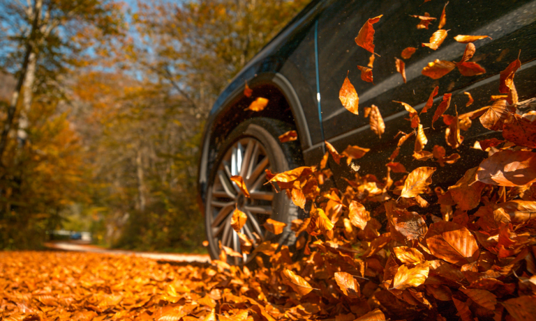 A car drives through a pile of fallen leaves during the fall.