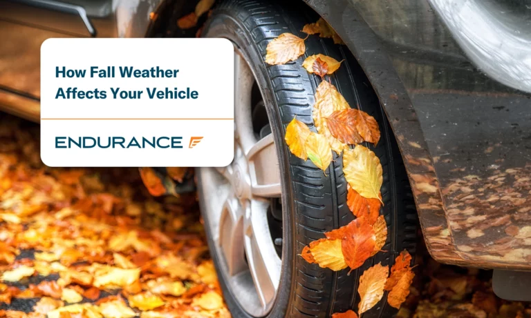 A car tire covered in leaves during the fall