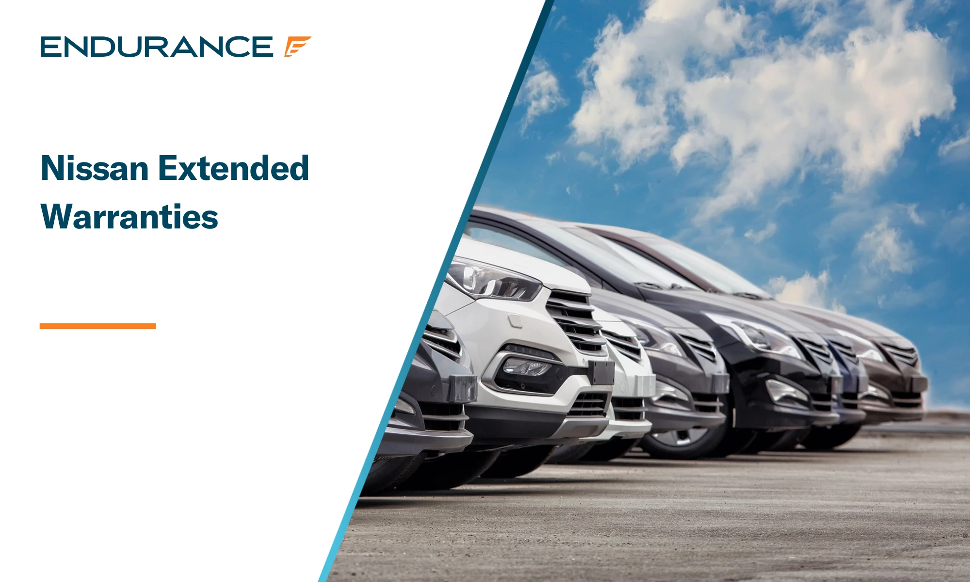 Cars for sale in a lot