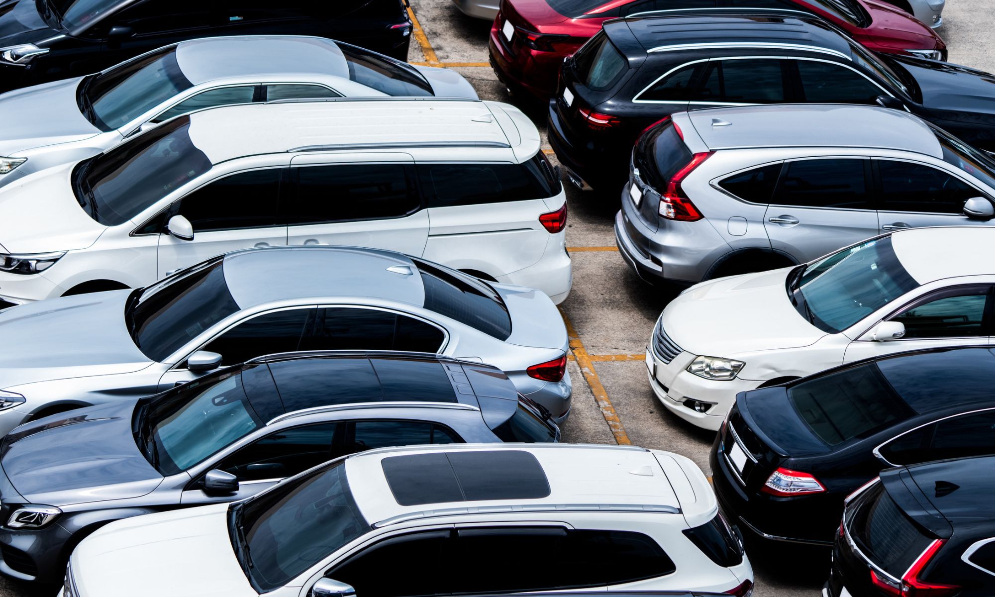 Used cars in a parking lot