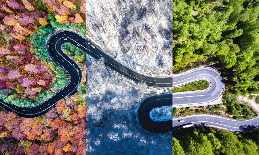 Winding road in the forest