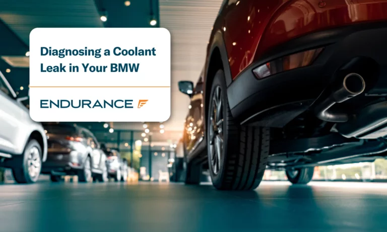 Luxury BMW models parked in a car showroom