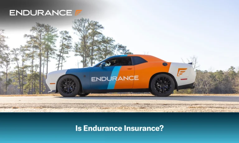 A sports car with the Endurance logo on the side