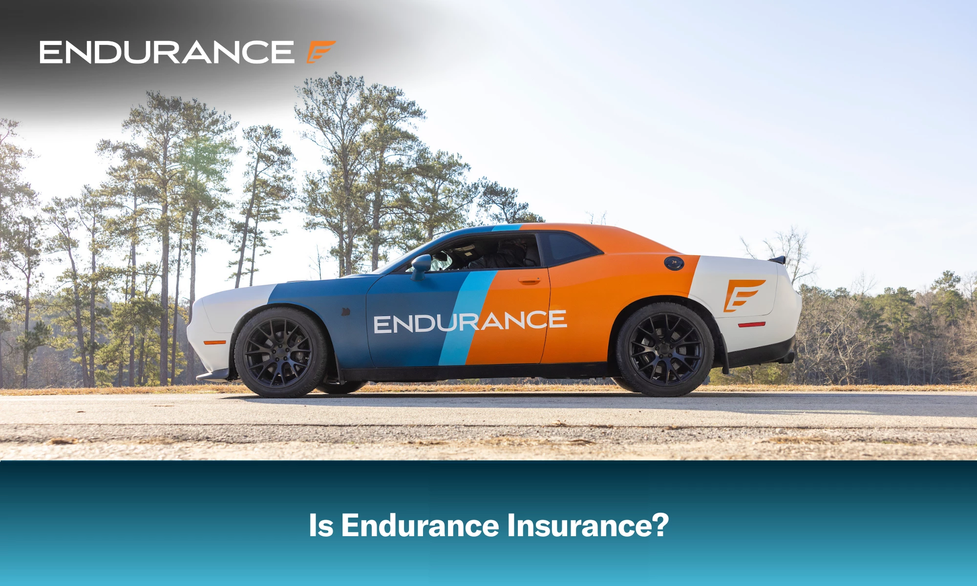 A sports car with the Endurance logo on the side