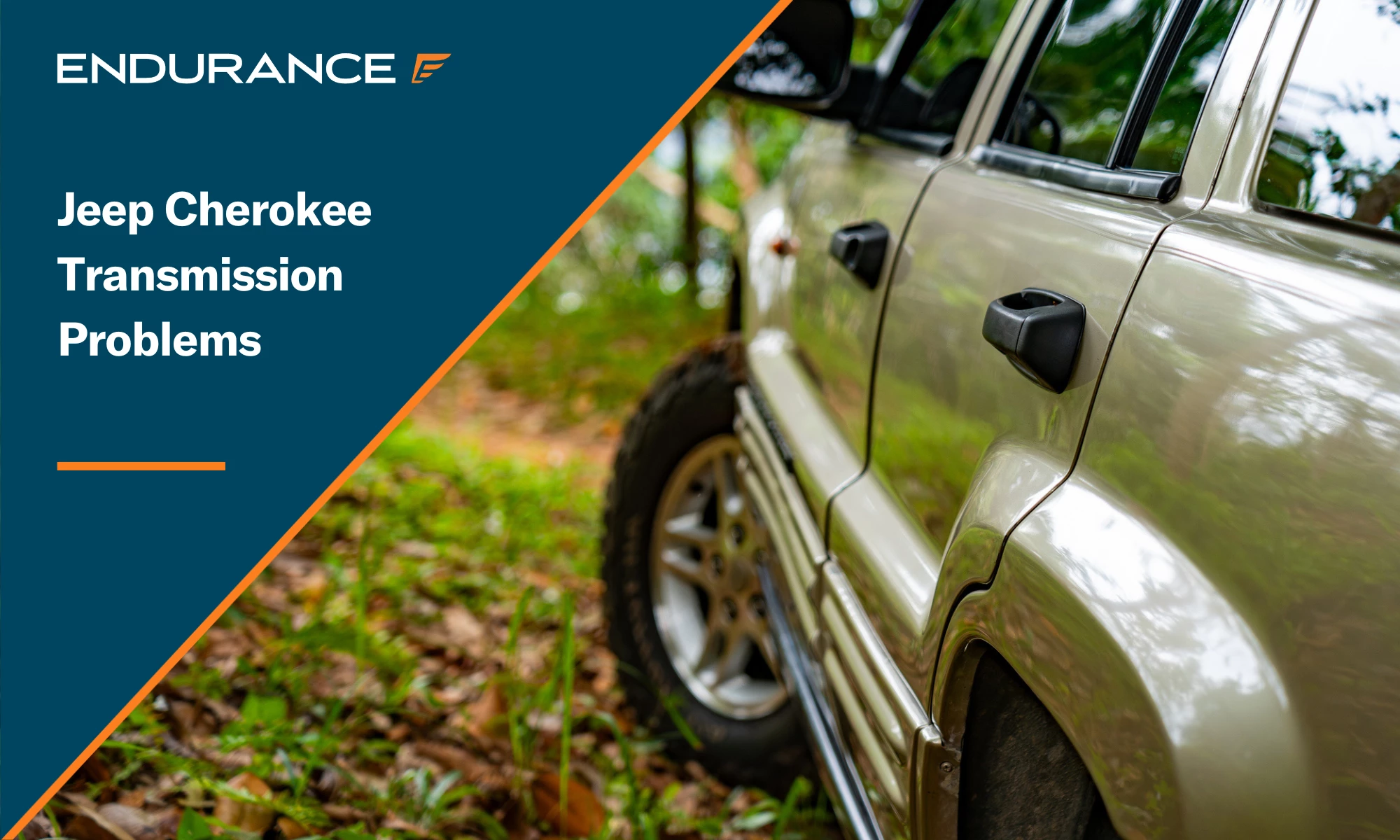 A Jeep Cherokee in the forest