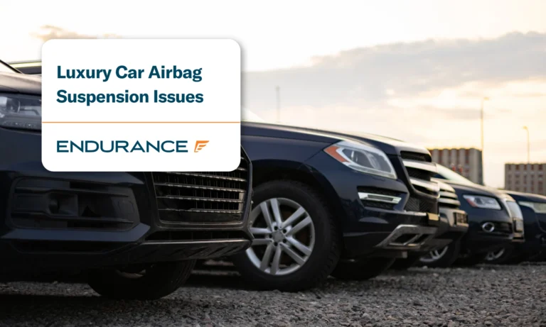 Una hilera de todoterrenos de color oscuro aparcados en el exterior, en un terreno de grava.